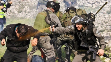Israeli-Soldiers-Assaulting-Palestinian-Activists