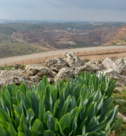 German Cement Giant Involved in Serious Violations against Palestinians