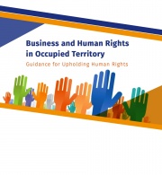 Business and Human Rights in Occupied Territory: Guidance for Upholding Human Rights