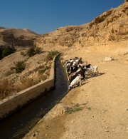 World Water Day: Israel’s Discriminatory Policies in Palestine Constitute a Systemic Attack on the Palestinian People’s Right to Water and Sanitation at a Time of Unprecedented Global Pandemic