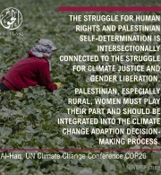 COP26: Intersectional Oppression, the Aggravated Impacts of Climate Change on Palestinian Women 
