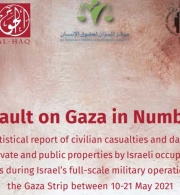 Al Mezan Center for Human Rights, the Palestinian Center for Human Rights (PCHR) and Al-Haq are jointly publishing a statistical report that documents the human and material losses suffered by Palestinians during Israel’s full-scale military offensive on 