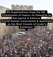 90 Organisations Urge the UN Independent International Commission of Inquiry on Palestine to Recognise and Address Zionist Settler Colonialism and Apartheid as the Root Causes of Israel’s Ongoing Violations