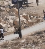 Israeli Occupying Forces and Settlers Continue to Commit Crimes in the West Bank; the International Justice System is at Stake