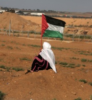 Voices from Gaza: The Experiences of Palestinian Women Amid the Ongoing Genocide