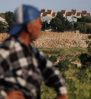 Open Letter: UK Government Must Ban Imports from Illegal Israeli Settlements