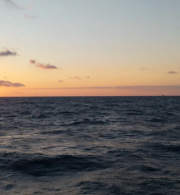 PNGO and NGOs Statement Condemning the Israeli ‎Attack and Piracy against the Global Sumud Flotilla and Calling for the Immediate ‎Release of the Detainees