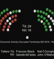 Al-Haq Welcomes Historic Adoption by Irish Senate of Occupied Territories Bill 2018
