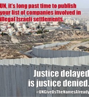 UN HIGH COMMISSIONER MUST RELEASE DATABASE ON COMPANIES INVOLVED IN ISRAELI SETTLEMENTS