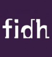 FIDH supports the right to participate in and call for Boycott, Divestment, and Sanctions