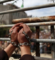 RE: European Parliament Fact-finding Mission on Palestinian Political Prisoners