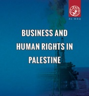 Business and Human Rights in Palestine