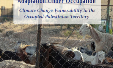 ADAPTATION UNDER OCCUPATION: CLIMATE CHANGE VULNERABILITY IN THE OCCUPIED PALESTINIAN TERRITORY