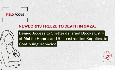 Field Focus: Newborns Freeze to Death in Gaza
