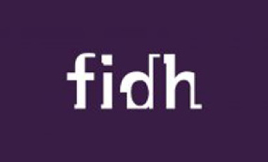 FIDH supports the right to participate in and call for Boycott, Divestment, and Sanctions