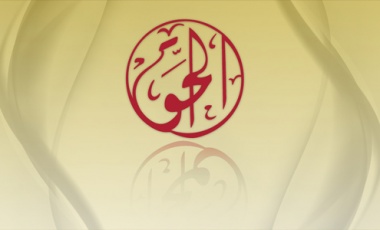 Beyond Justice: al-Haq after the ruling in Adalah (2009-2013)