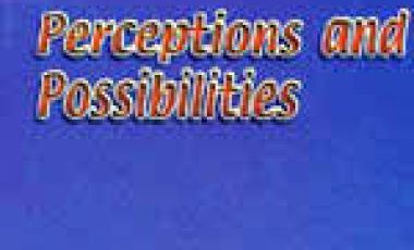 Discussion Paper on International Protection - Perceptions and Possibilities