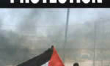 In Need of Protection: An Investigation Into Israeli Practices in the Occupied Palestinian Territories During the Intifada 