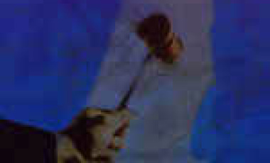 The Applicability of Human Rights Law to Occupied Territories: The Case of the Occupied Palestinian Territories 