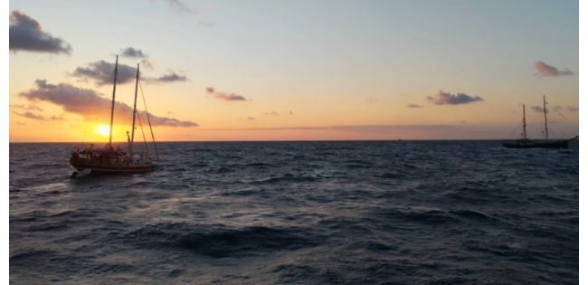 PNGO and NGOs Statement Condemning the Israeli ‎Attack and Piracy against the Global Sumud Flotilla and Calling for the Immediate ‎Release of the Detainees