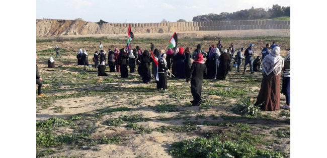 Updates from the 48th Great Return March