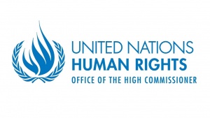 Joint Statement: Continued Delay of the UN Database by the UN High Commissioner for Human Rights, Unfounded and Unacceptable