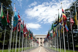 image: United Nations flags. Source: Wikipedia 