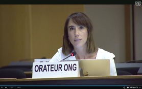 Al-Haq and partners deliver joint oral intervention on collective punishment at the UN Human Rights Council