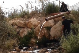 October 21, 2020. Sewage pipe from Leshem Israeli settlement is open on Palestinian olive trees fields in Salfit governorate. 