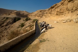 Photo: Wadi Qelt, Jericho. Bassam Almohor