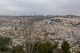 Jerusalem. Photo bassam almohor