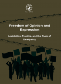 Freedom of Opinion and Expression