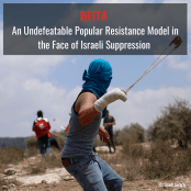 Joint Urgent Appeal to UN Special Procedures on Israeli Suppression of Palestinian Resistance at Jabal Sbeih against Settlement Expansion