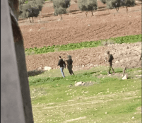 Israeli Occupying Forces Killed Eleven Palestinians, Including Two Children, in the West Bank Within 24 Hours