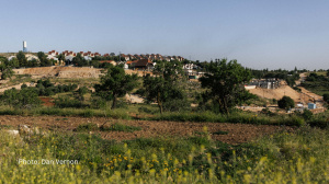 Press release  Unprecedented multi-jurisdictional legal action over properties in illegal Israeli settlements targets Airbnb HQ in Ireland