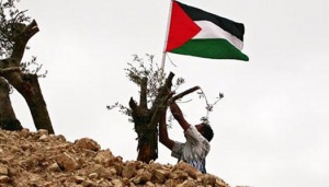 Israel’s Land Grab Policy Leaves Palestinians Dispossessed