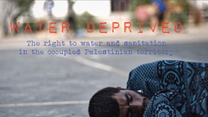 Water deprived: The right to water and sanitation in the occupied Palestinian territory