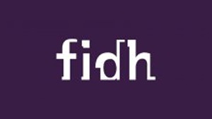 FIDH urgent resolution calls for accountability and an end to Israeli occupation