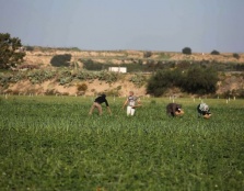 Israel Routinely Attacks Palestinian Civilians in the Buffer Zone