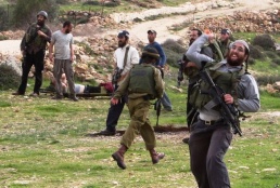 Al-Haq Special Focus: Settler Attacks in the West Bank