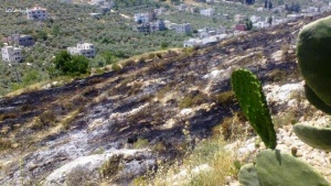 In One Week: 13 Attacks by Settlers against Palestinians in the West Bank