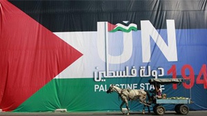 "الحق" ترحِّب بمبادرة الفلسطينيين للحصول على صفة دولة مراقب في الأمم المتحدة وتدعو إلى توخي الدقة في صياغة طلب أو قرار العضوية