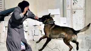 Israeli Soldier Unleashes Army Dog on 47-year-old Woman