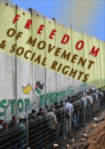 Freedom of Movement & Social rights