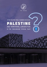 After the Pre-Trial Chamber Decision: Palestine and Territorial Jurisdiction at the International Criminal Court