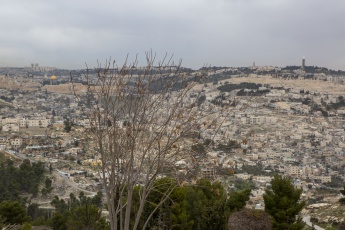 Call for Action  HRC 30th Special Session: Call on the United Nations Human Rights Council to adopt a resolution on the grave human rights situation in the Occupied Palestinian Territory, including East Jerusalem and in Israel
