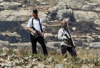 Al-Haq Sends Urgent Appeal to UN Special Procedures on Intensified Violence against Palestinians by Colonial Settlers