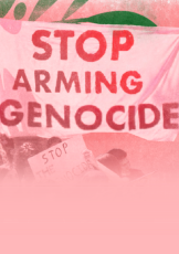 Ensuring Genocide - The Insurance Industry and Israel’s War Machine