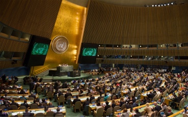 Palestinian human rights groups urge UN to take action, call on IOF to refrain from using force against protesters