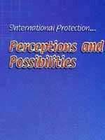 Discussion Paper on International Protection - Perceptions and Possibilities